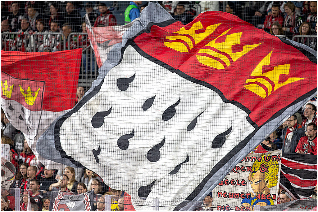 DEL; Koelner Haie - Adler Mannheim, 09.04.2019